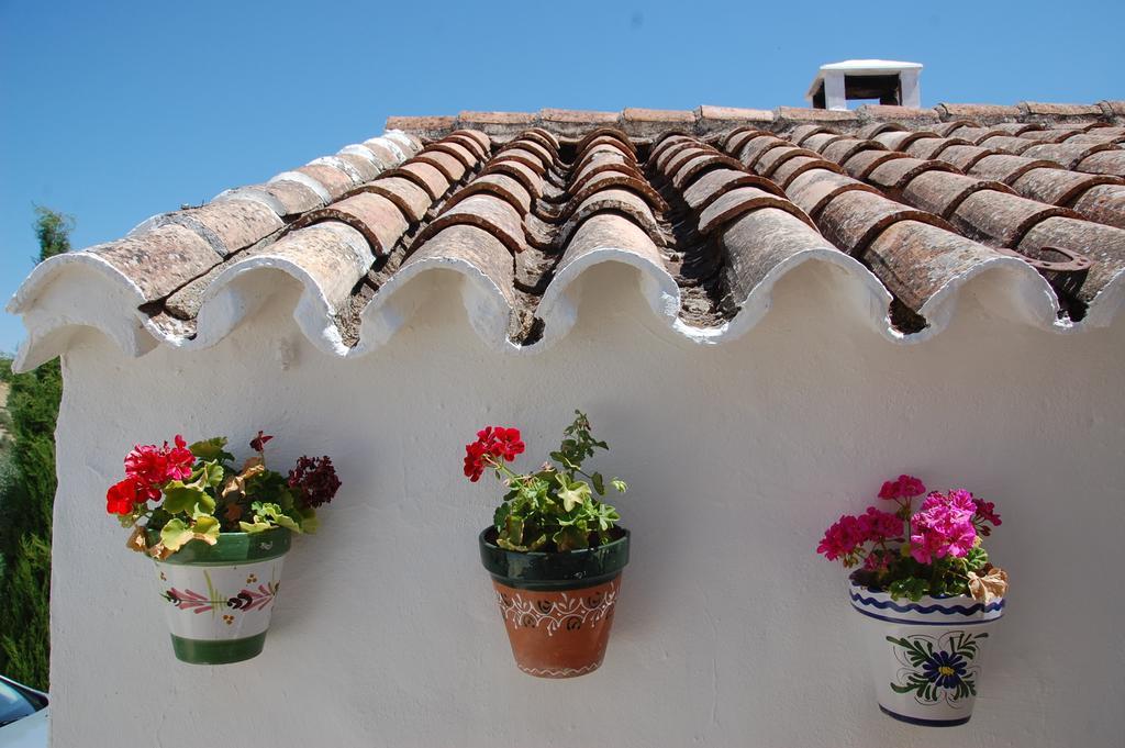 La Escuela Del Campo Bed and Breakfast Setenil De Las Bodegas Exteriör bild
