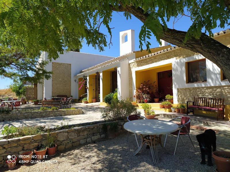 La Escuela Del Campo Bed and Breakfast Setenil De Las Bodegas Exteriör bild